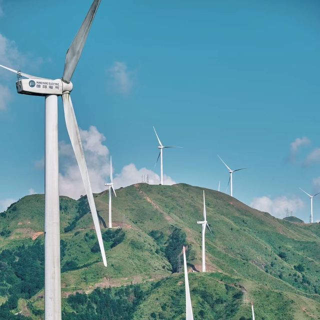🌬️💡 中坳風電場～與風共舞的浪漫🌬️💡🐄