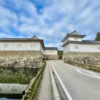 Hikone Heritage Hub: Unveiling History