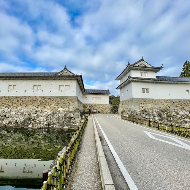 Hikone Heritage Hub: Unveiling History