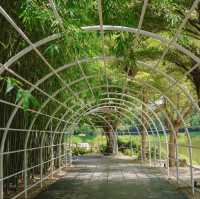 CHAN nature cafe' คาเฟ่ที่ถูกโอบล้อมไปด้วยแคตตัส