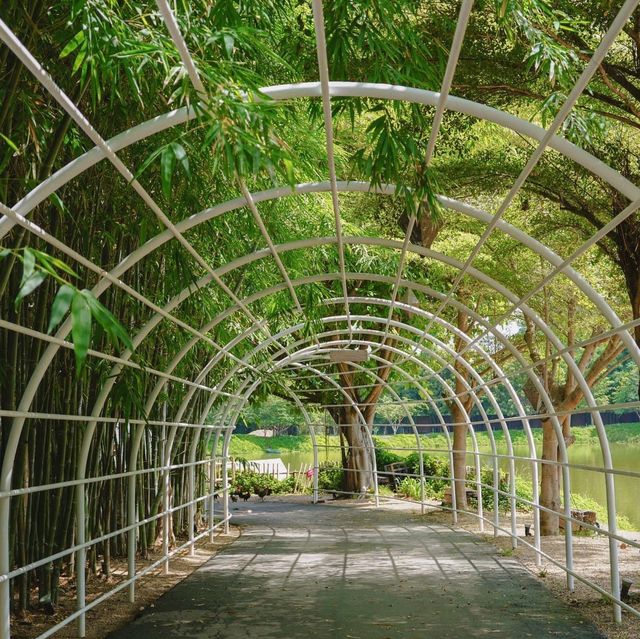 CHAN nature cafe' คาเฟ่ที่ถูกโอบล้อมไปด้วยแคตตัส