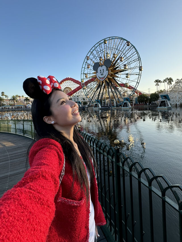 🎡❤️Disney California Adventure