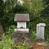 護国寺にある浅間神社の音羽富士