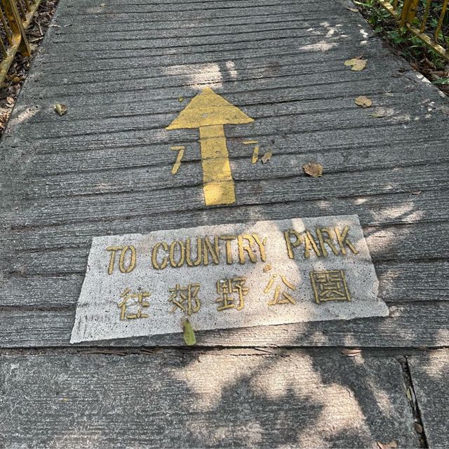 屯門行山好介紹～人氣打卡位～彩🌈虹橋