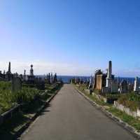 Sydney Bronte-Bondi Coastal Walk