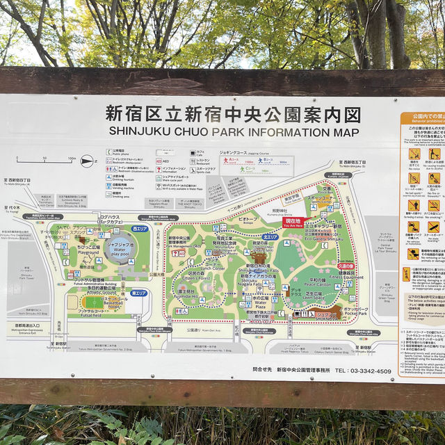 Huge park in Shinjuku 