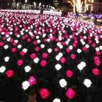 ✨LED夢幻玫瑰花海🌹添馬公園✨