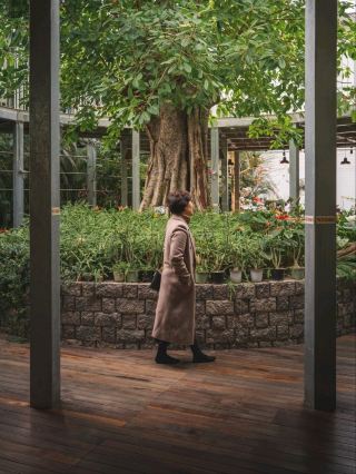 Botanical Garden Cafe "Baobab Bakery" with a giant baobab tree