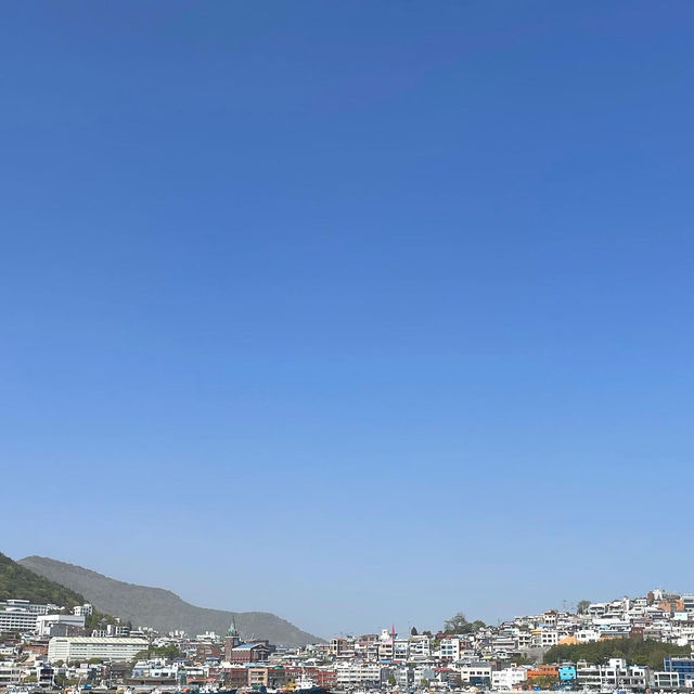 돌산대교 밑, 요트타고 여수시내 둘러보기 