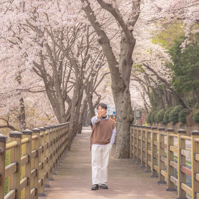 유채꽃이 가득가득 봄 여행지 남해
