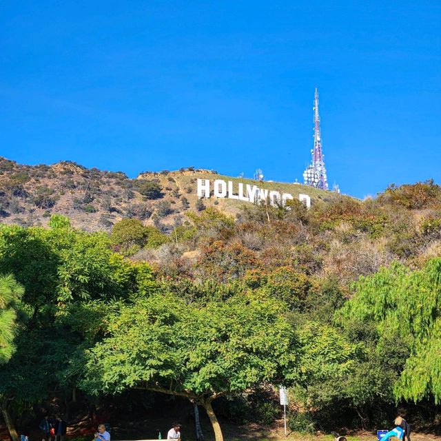 HOLLYWOOD🇺🇸 사인 보러 가야할 곳 