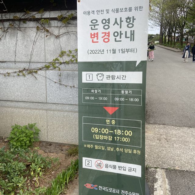 전주여행 튤립의 성지 전주수목원에서 봄꽃구경