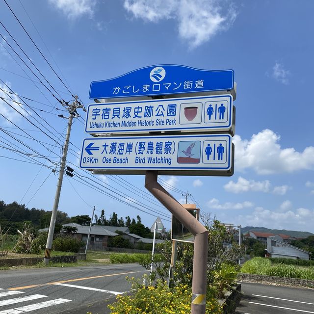 奄美大島「宇宿貝塚史跡公園」で歴史を感じる旅