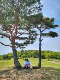 초록 가득한 힐링 한스푼🌿경주 최애여행코스💚