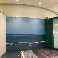 永安海螺文化館🐚