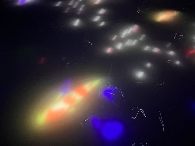 TEAMLab @豊洲✨