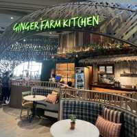 Ginger Farm Kitchen อาหารเหนือออร์แกนิค @iconsiam