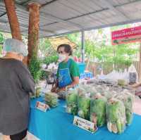 ตลาดอาหารปลอดสาร