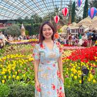 Enchanting Flower Dome at Gardens by the Bay
