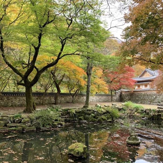가을 단풍 여행의 명소, 내장사
