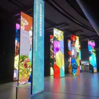 深圳當代藝術及城市規劃館