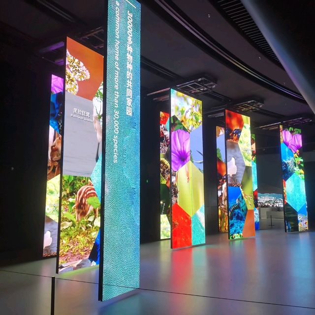 深圳當代藝術及城市規劃館