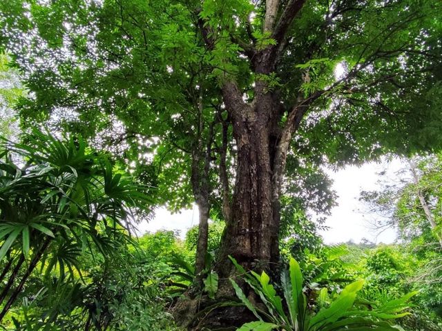 • บ่อน้ำแร่ร้อนพรรั้ง สัมผัสธรรมชาติ 🌳🍃