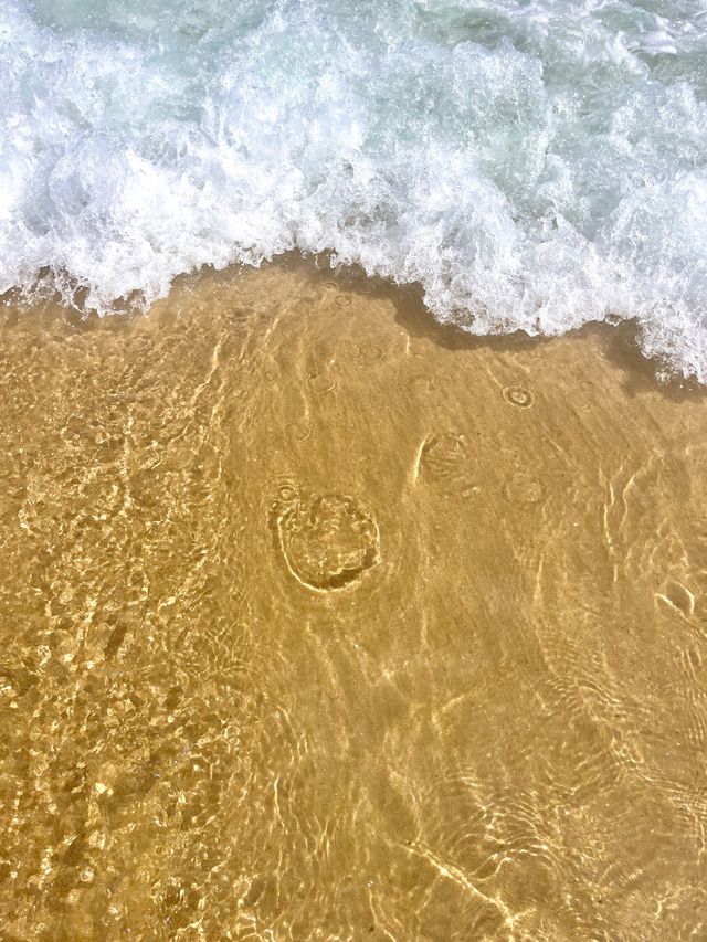 여름 휴가철 해수욕장은 역시 해운대🏖️ 여름 휴가철 해수욕장은 역시 해운대🏖️