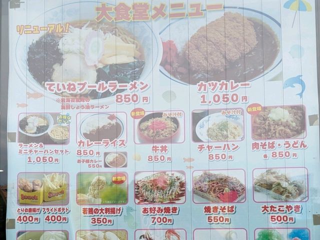【屋外で遊び倒せるプール】北海道ていねプール