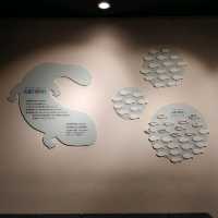 海の生き物ってどうやって眠るの？　夜の京都水族館