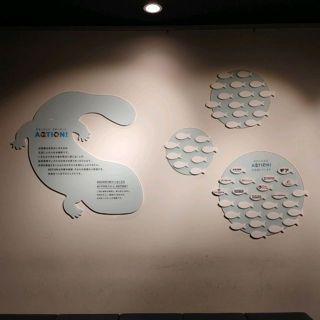 海の生き物ってどうやって眠るの？　夜の京都水族館