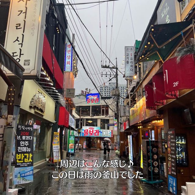 【韓国旅行】釜山／西面の人気店✨絶対ハマる！激うまチキン🍗🔥