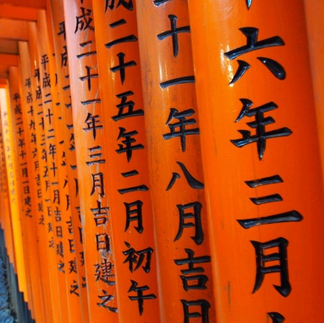 延綿不斷的紅色鳥居隧道⛩️
