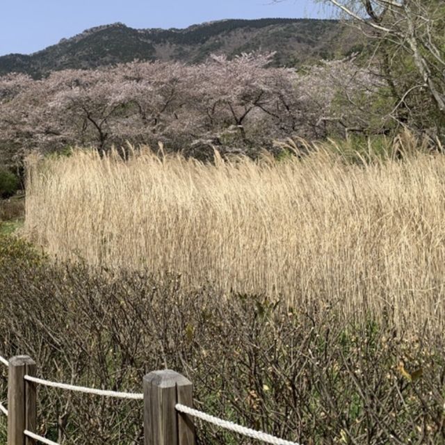 사진 작가들이 뽑은 국내의 아름다운 사진 명소, 진해내수면환경생태공원
