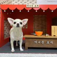 애견동반 가능한 감성 카페 애니콩
