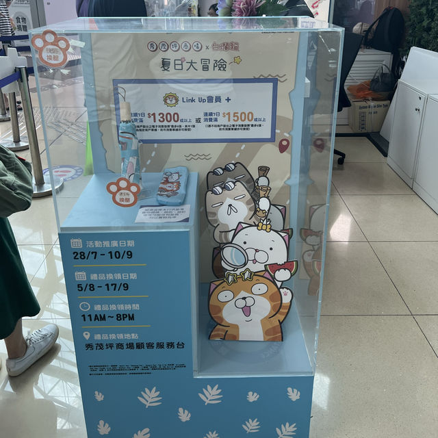 台灣人氣巨星喵登陸秀茂坪 台灣人氣巨星喵登陸秀茂坪