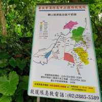 台北-爬劍潭山去囉🌿圓山風景區（健康森林步道）