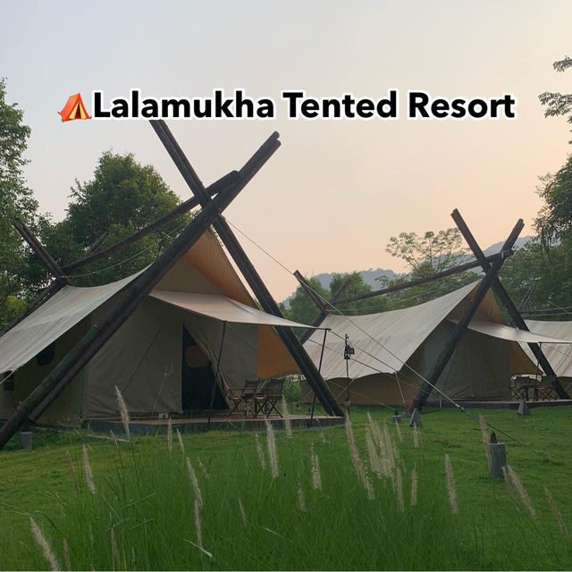 ⛺️Lalamukha Tented Resort 