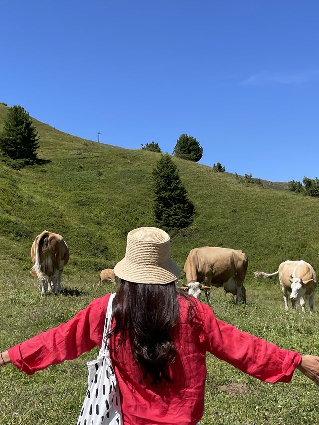 멘리헨 하이킹 코스 강추❤️