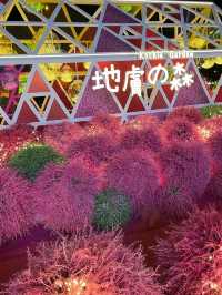 新年+情人節好去處:日本超人氣浪漫花田《地膚之森》