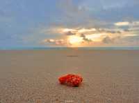 เดินเล่นชิลๆ ริมหาดบางสัก เขาหลัก จ.พังงา