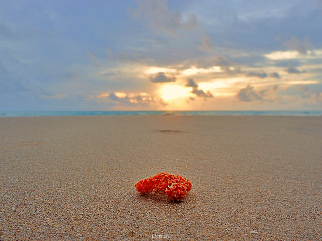 เดินเล่นชิลๆ ริมหาดบางสัก เขาหลัก จ.พังงา