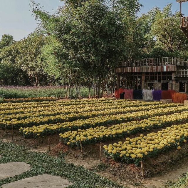 สถานที่ที่สวยดุจดั่ง สวรรค์ในเทพนิยาย ณ แดนเทวดา