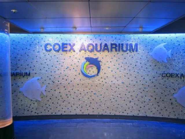 🇰🇷Coex - an aquarium in a mall