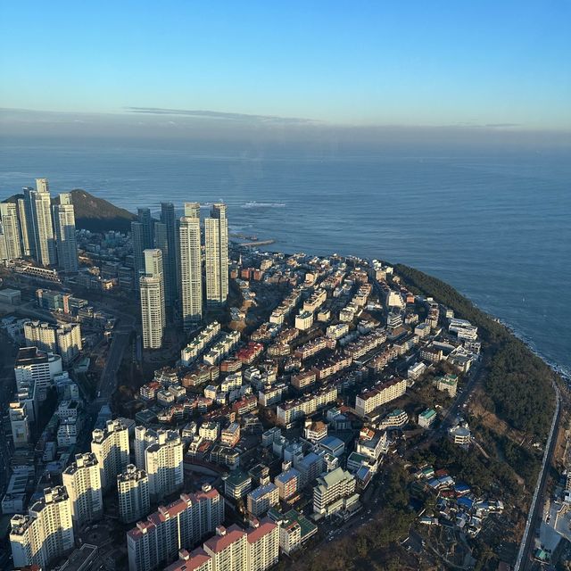 제2의 도시 다이나믹 부산해운대🌊⛱️
