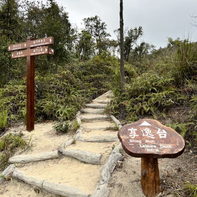 享逸台｜城門水塘新景點 15分鐘攻頂 飽覽水塘以及白千層美景