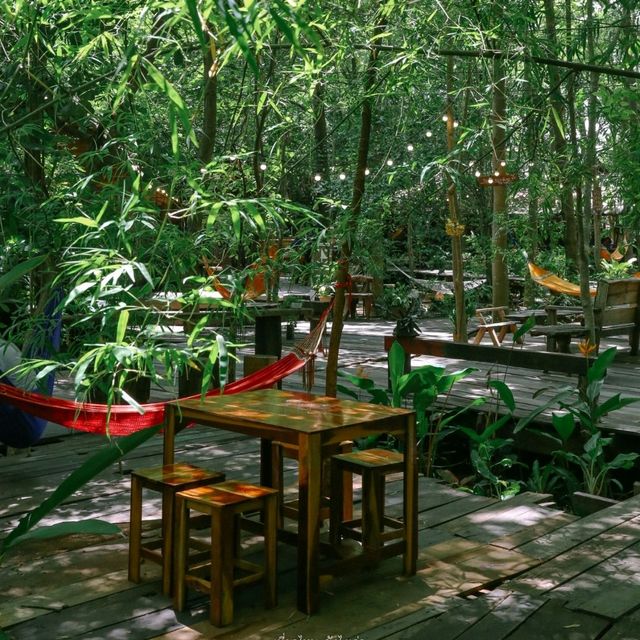 จิบกาแฟ นอนเปลในสวนป่า Skipper Garden สาขา 1
