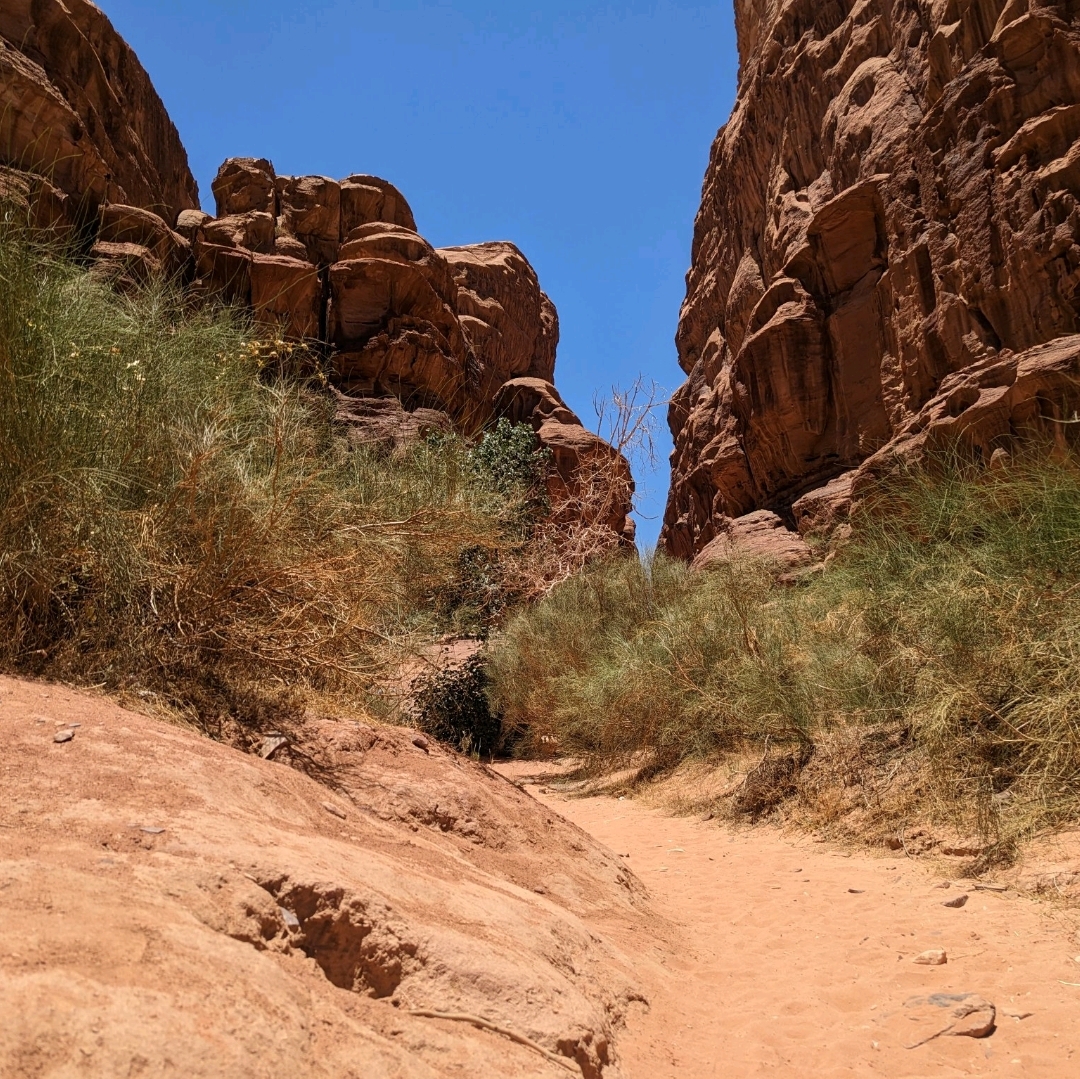Wadi Rum