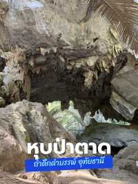 สถานที่ท่องเที่ยวแห่งใหม่ ป่าดึกดำบรรพ์