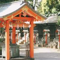 Amazing place to visit 